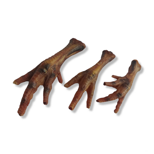 Patita de Pollo Deshidratada 6 pz.