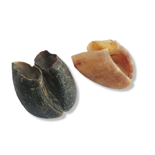 Pezuña de Res 3 pz.