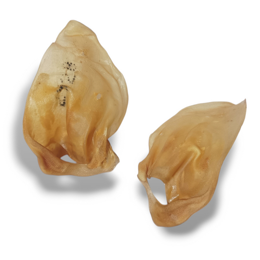 Oreja de Cerdo 1 pz.