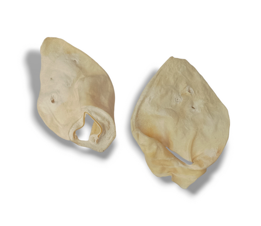 Oreja de Res 1 pz.